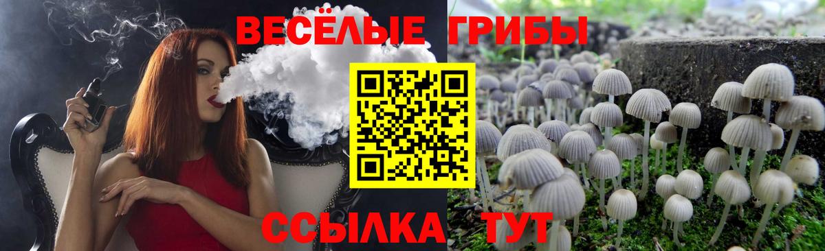 Галлюциногенные грибы мицелий  Вход с VPN  Усолье-Сибирское  Галлюциногенные грибы ЛСД 