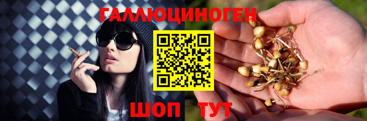 Галлюциногенные грибы прущие грибы Усолье-Сибирское